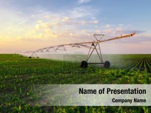 Corn irrigation pivot field summer