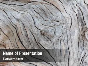 Wood detail old texture  PowerPoint Template