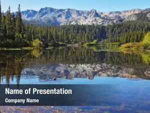 Quiet Lake PowerPoint Templates - Quiet Lake PowerPoint Backgrounds ...