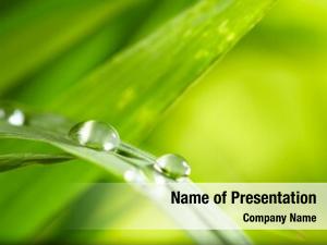 Green Water Drops PowerPoint Templates - Green Water Drops PowerPoint ...