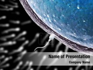  PowerPoint Template