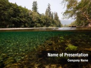 Picture Taken Under Water PowerPoint Template