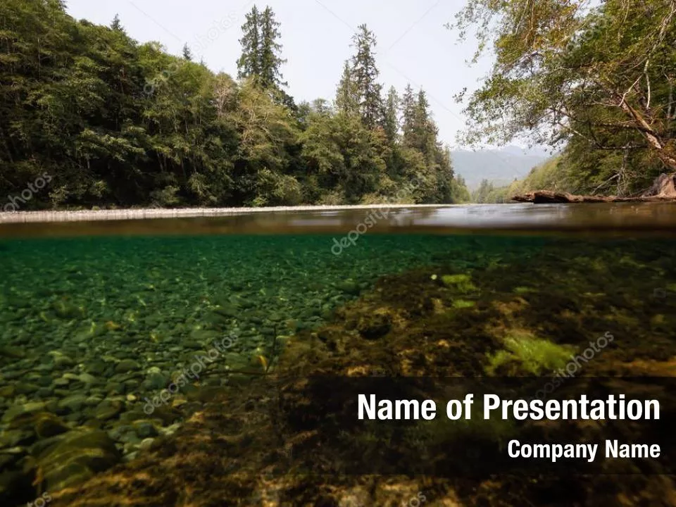 Picture Taken Under Water