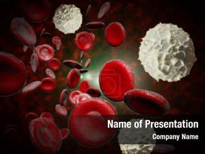 Red And White Blood Cells PowerPoint Template