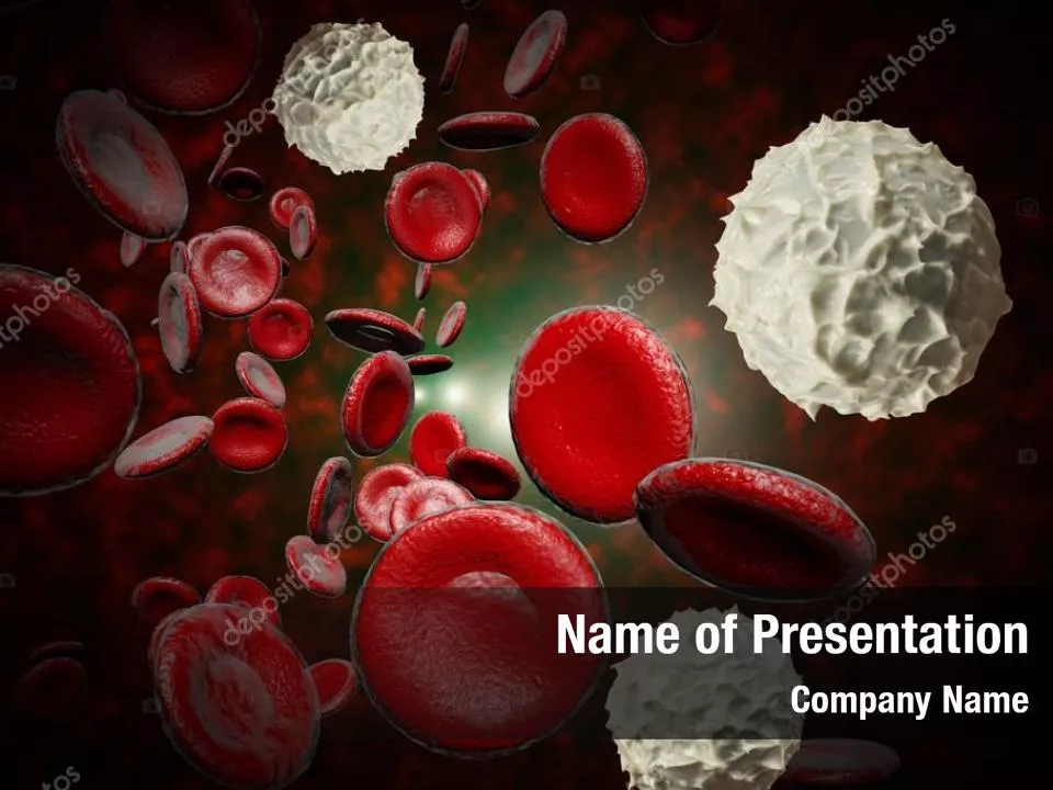 Red And White Blood Cells