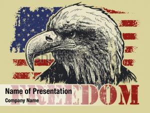 Government american bald eagle