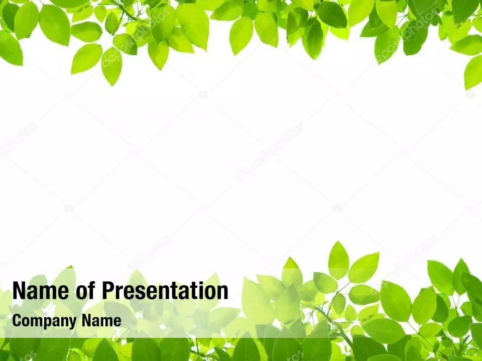 Green Leaves on Frame