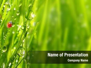 Nature / Environment PowerPoint Templates and Background - DigitalOfficePro