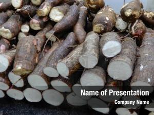 Peel fresh cassava market 