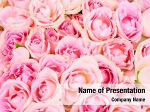 Bridal Bouquet PowerPoint Templates - Bridal Bouquet PowerPoint ...