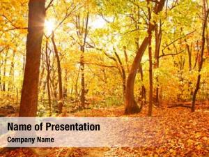 Autumn Woods PowerPoint Templates - Autumn Woods PowerPoint Backgrounds ...