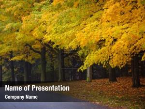  PowerPoint Template