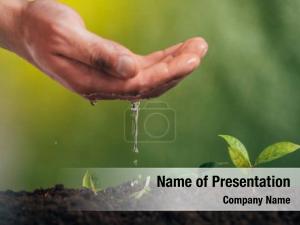  Earth Day Concept: Nurturing Young Green Plants

