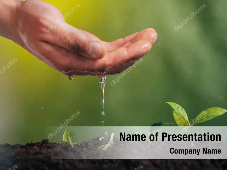  Earth Day Concept: Nurturing Young Green Plants

