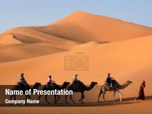 Going camel caravan through sand