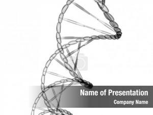 Its dna sequence code structure