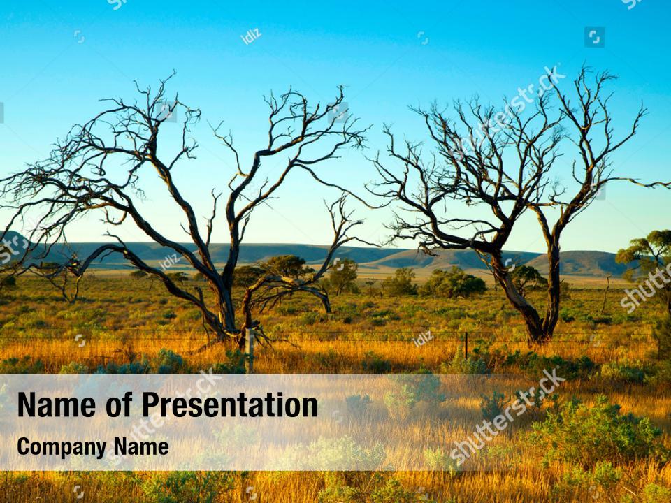 Indigenous Ppt Template Free