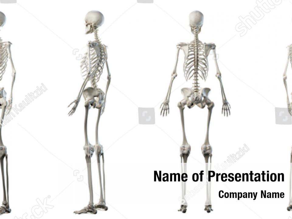 Skeleton PowerPoint Template