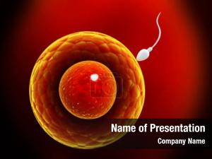 Ovule spermatozoon, floating  