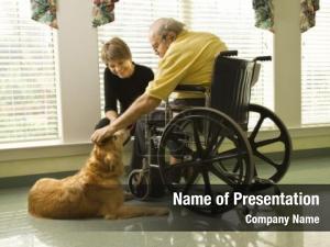Pet therapy dog elderly man