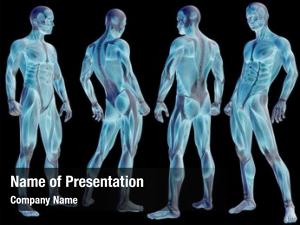 free anatomy and physiology powerpoints