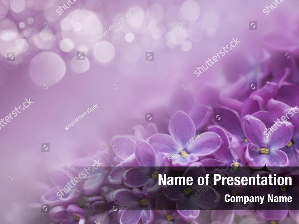 Abstract lilac violet PowerPoint Template - Abstract lilac ...