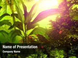 Beautiful rainforest PowerPoint Template - Beautiful rainforest