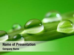 Pure Nature PowerPoint Templates - Pure Nature PowerPoint Backgrounds ...