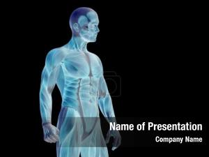 Human conceptual strong man anatomy PowerPoint Template