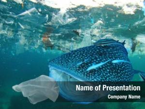 Bottles plastic bags underwater ocean PowerPoint Template