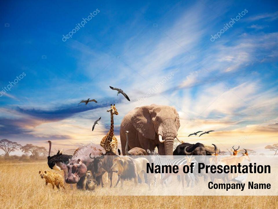 Animals illustration african savannah 