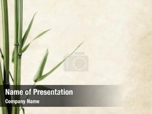 Texture old paper bamboo  PowerPoint Template