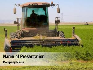 Agribusiness combine harvester cutting