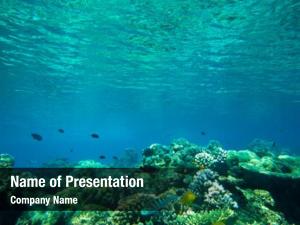 Underwater Scene PowerPoint Templates - Underwater Scene PowerPoint ...