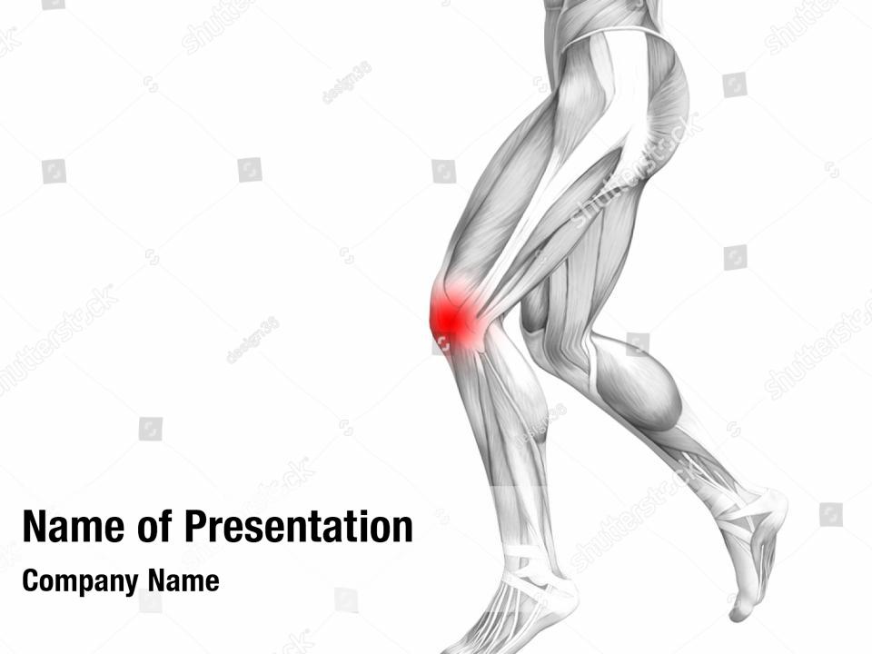 Anatomy concept or conceptual PowerPoint Template - Anatomy concept or