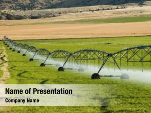 Working irrigation system farm  PowerPoint Template