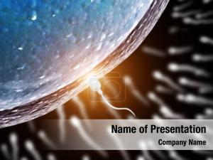  PowerPoint Template