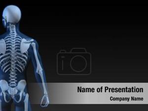 Bone transparent human structure movement