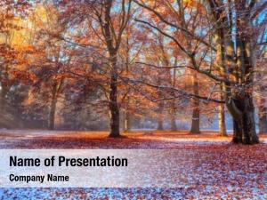 Forest Scenic Oak Sun Powerpoint Template - Forest Scenic Oak Sun 