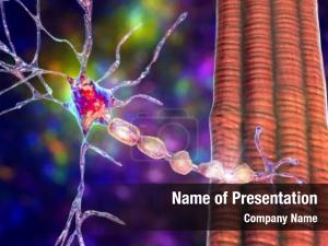 Damage demyelination neuron, neuron myelin