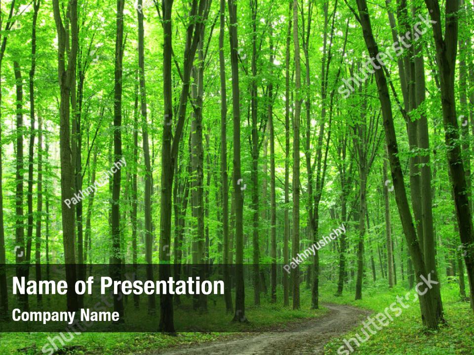 Daylight bright green forest PowerPoint Template - Daylight bright ...