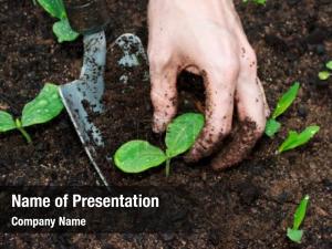 agriculture powerpoint presentation background