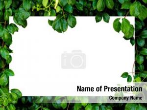  PowerPoint Template