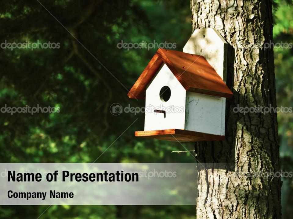Birds and forest PowerPoint Template - Birds and forest PowerPoint  Background