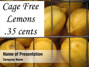 Wire lemons sale cage 