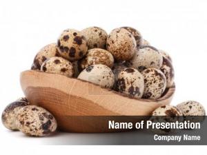 Nutritious quail eggs in wooden