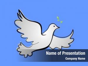 Dove of peace 