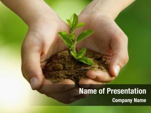 Planting, boy tree environmental conservation