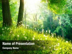 Leaves sun green   PowerPoint Template