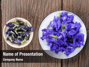 Butterfly fresh dried pea, blue PowerPoint Template